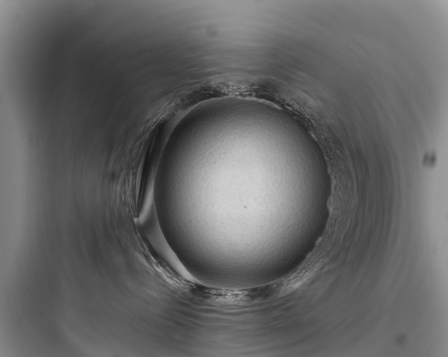 X0000097920288200803211534