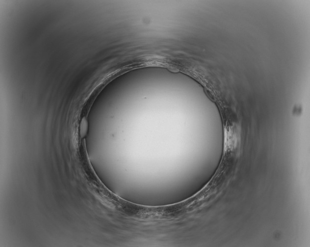 X0000097920291200803211534