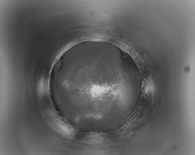 X0000097920292200803211534