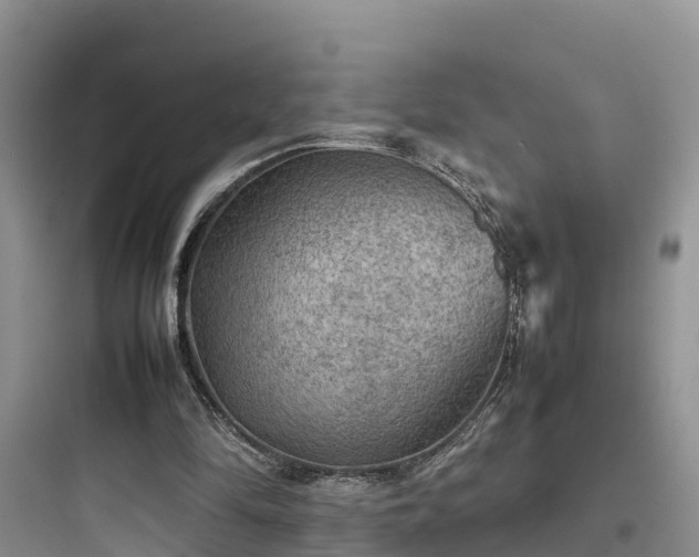 X0000097920294200803211534