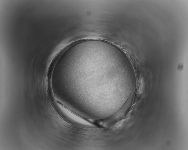 X0000097920296200803211533