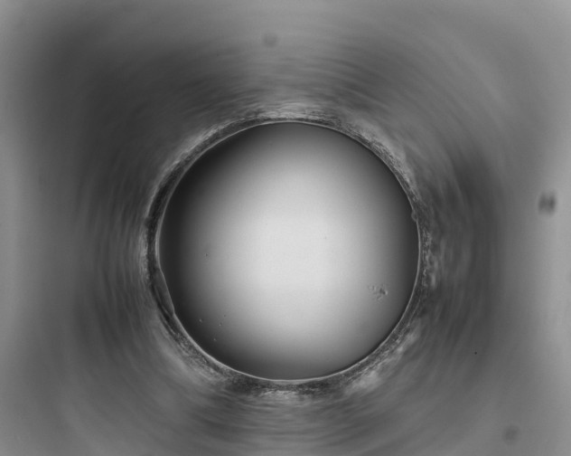 X0000097920298200803211533