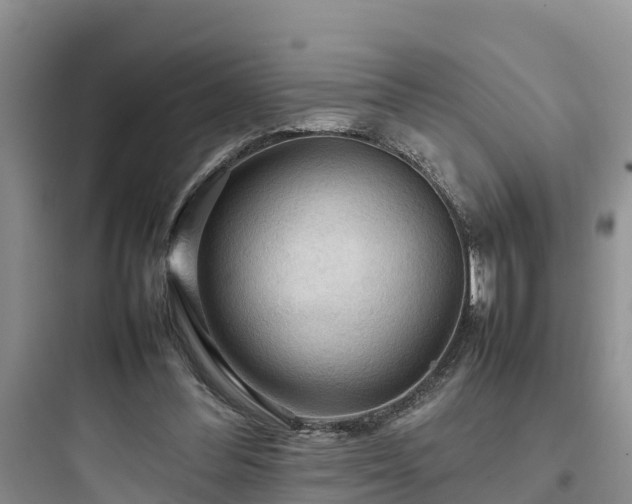 X0000097920300200803211533