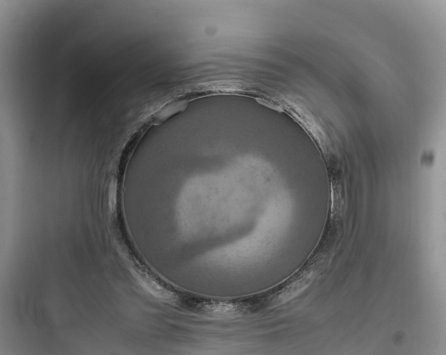 X0000097920301200803211533
