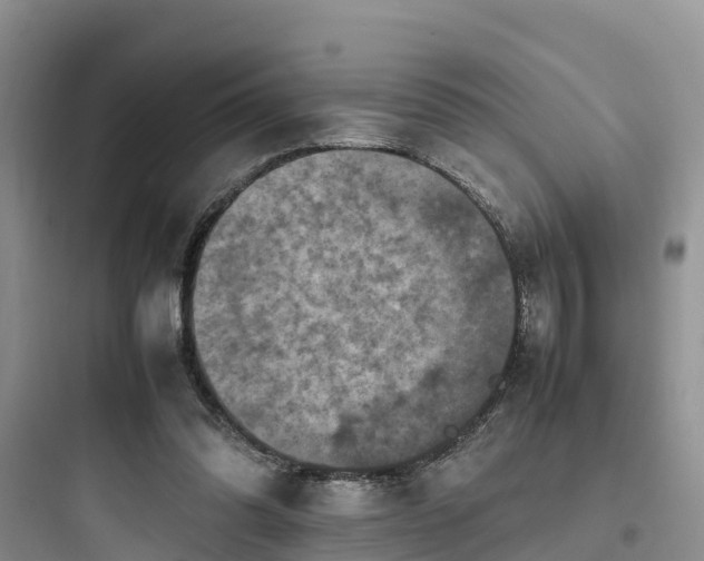X0000097920302200803211533