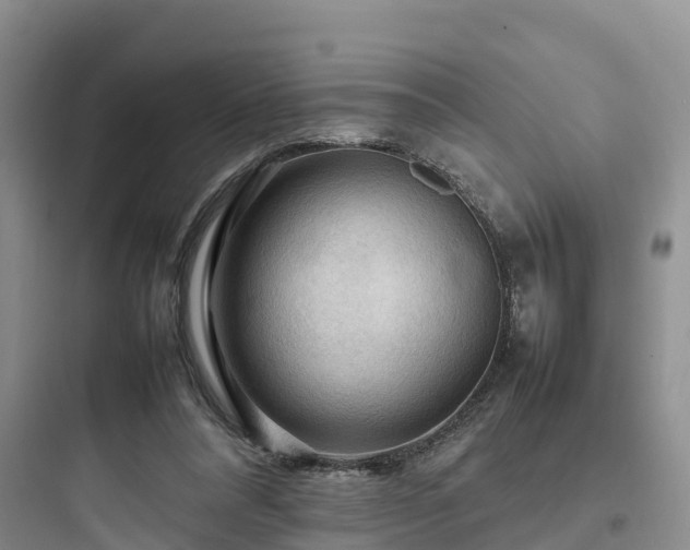 X0000097920304200803211533