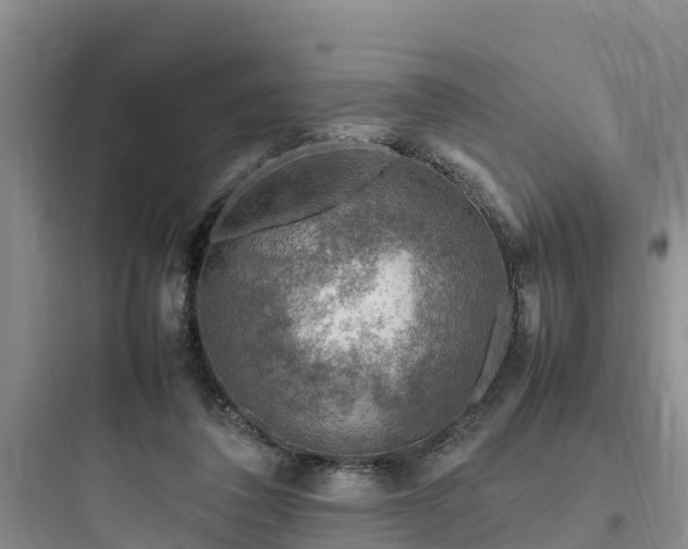 X0000097920308200803211533