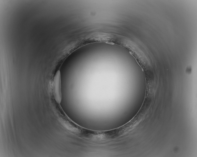 X0000097920309200803211533