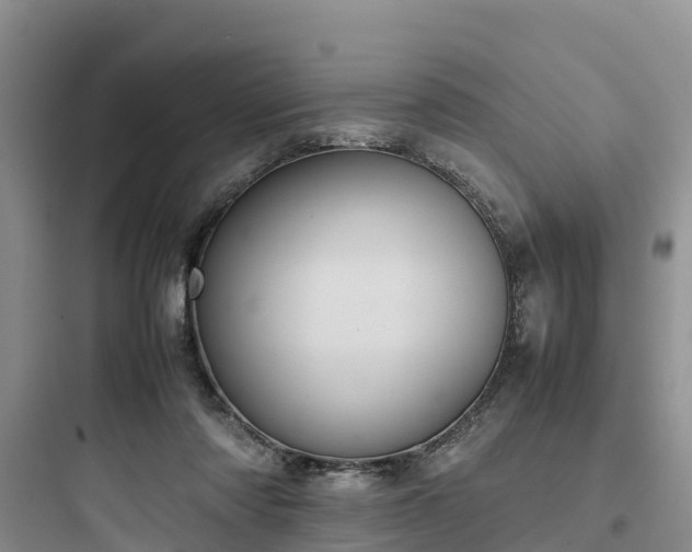 X0000097920310200803211533