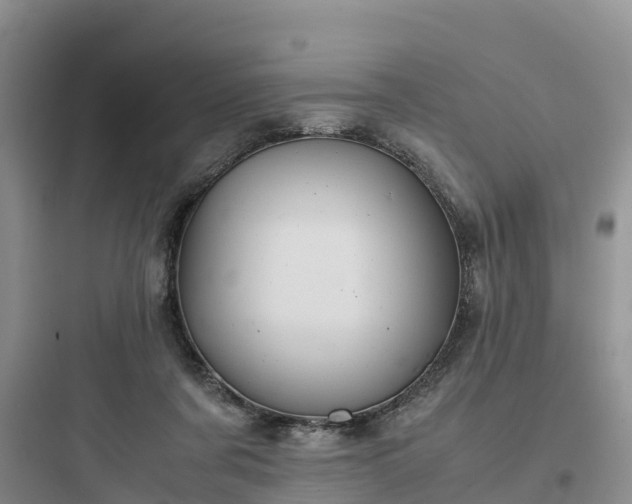 X0000097920311200803211533