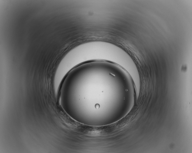 X0000097920312200803211533