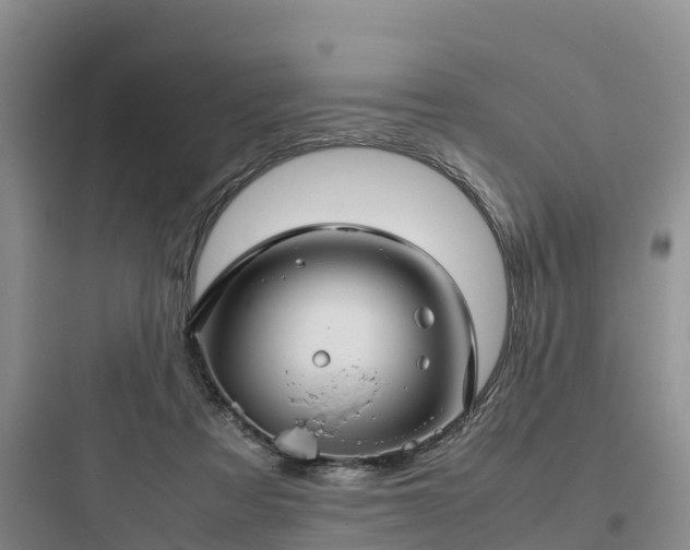 X0000097920313200803211533