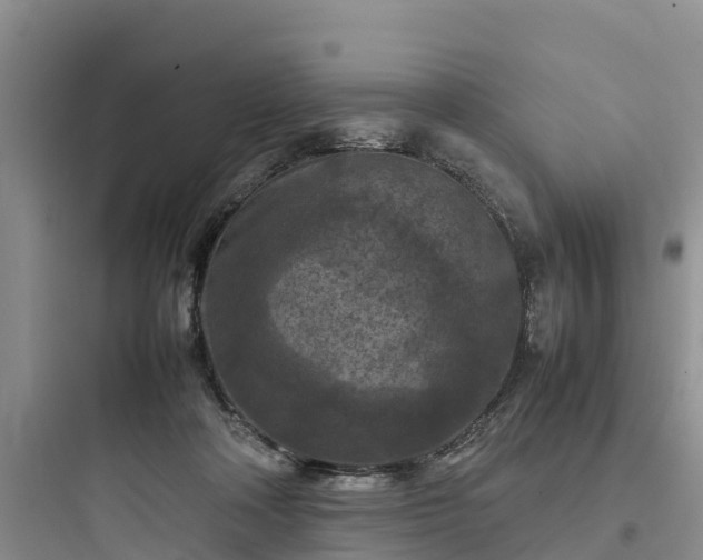 X0000097920314200803211533