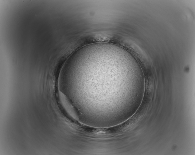 X0000097920315200803211533