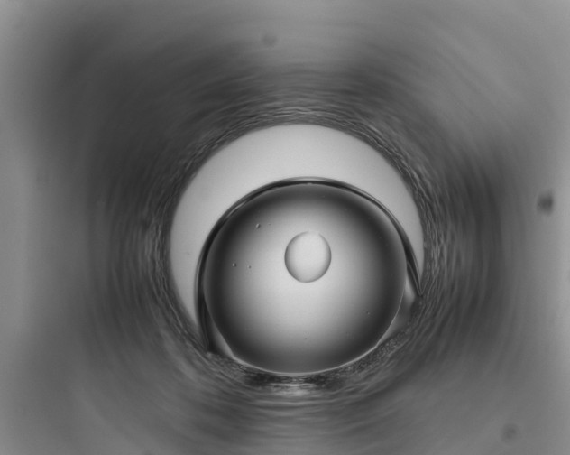 X0000097920316200803211533