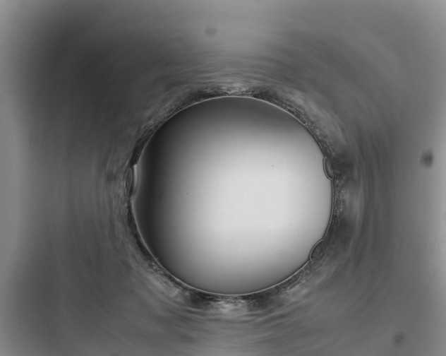 X0000097920317200803211533