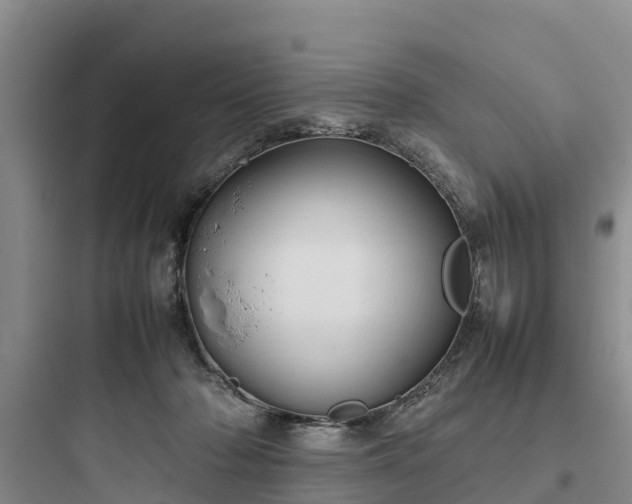 X0000097920318200803211533