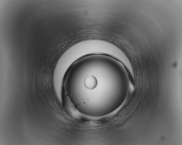 X0000097920320200803211533