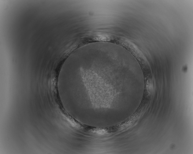 X0000097920322200803211533