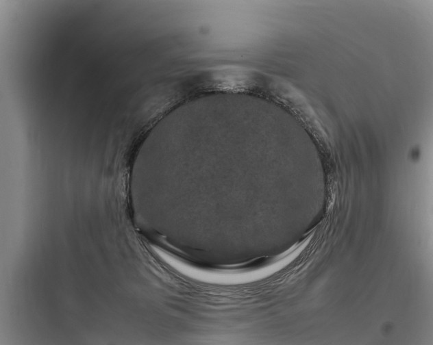 X0000097920325200803211533