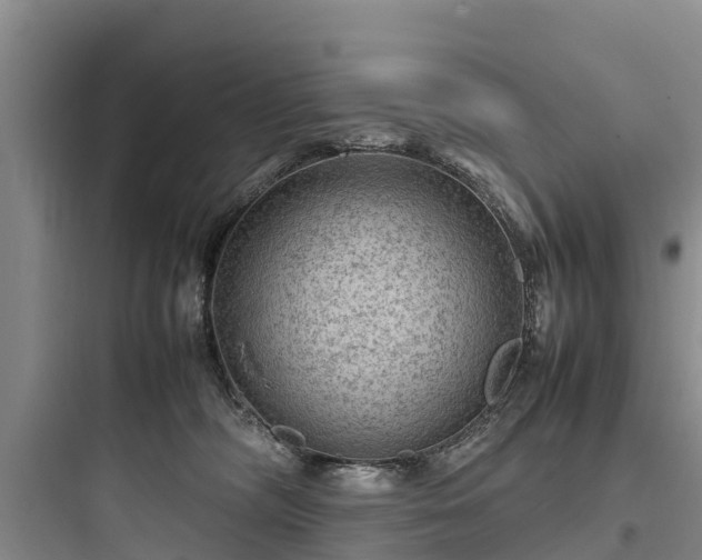 X0000097920326200803211533