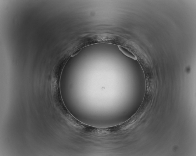 X0000097920327200803211533