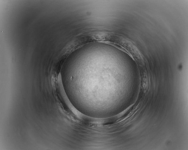 X0000097920332200803211533