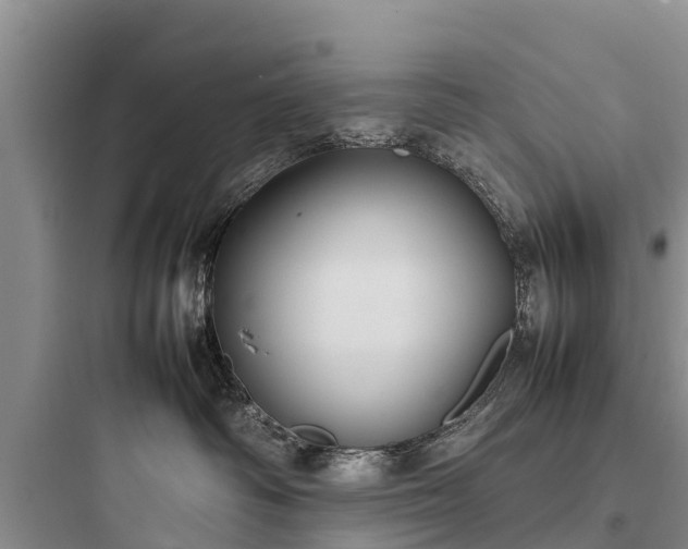 X0000097920334200803211533