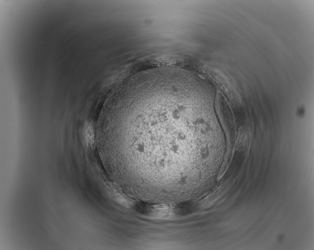 X0000097920335200803211533