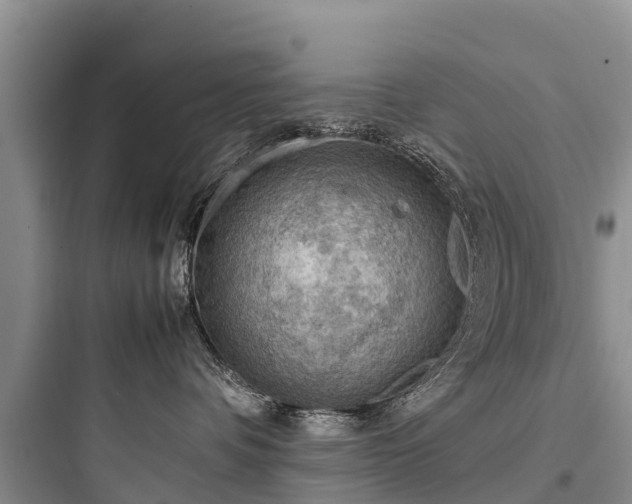 X0000097920336200803211533