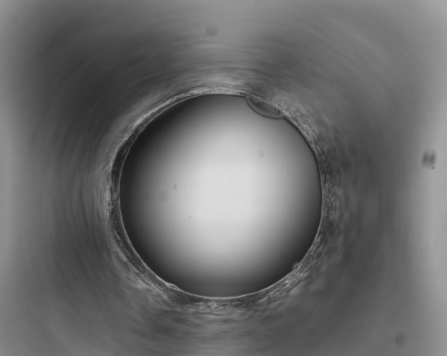 X0000097920338200803211532