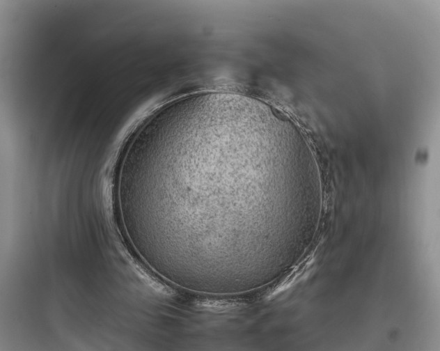 X0000097920341200803211532