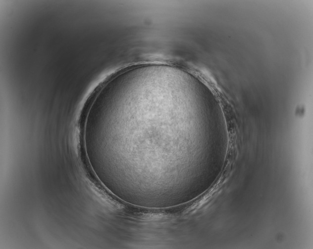X0000097920342200803211532