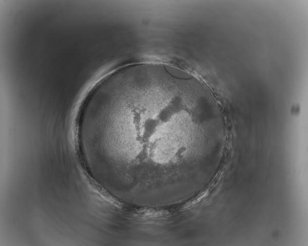 X0000097920343200803211532