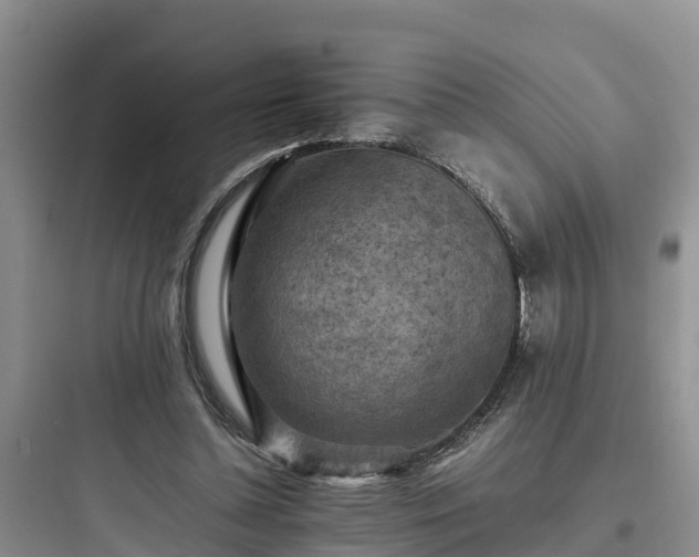 X0000097920348200803211532