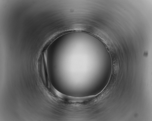 X0000097920350200803211532