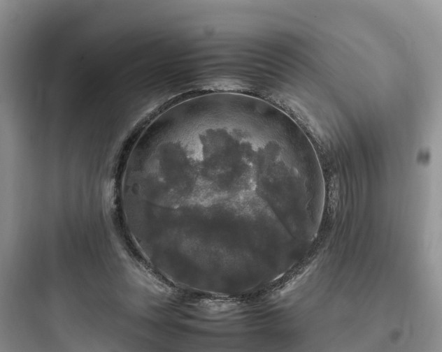 X0000097920351200803211532