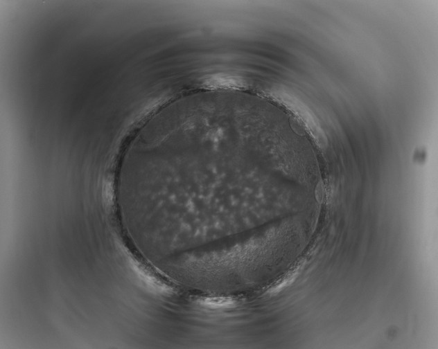 X0000097920353200803211532