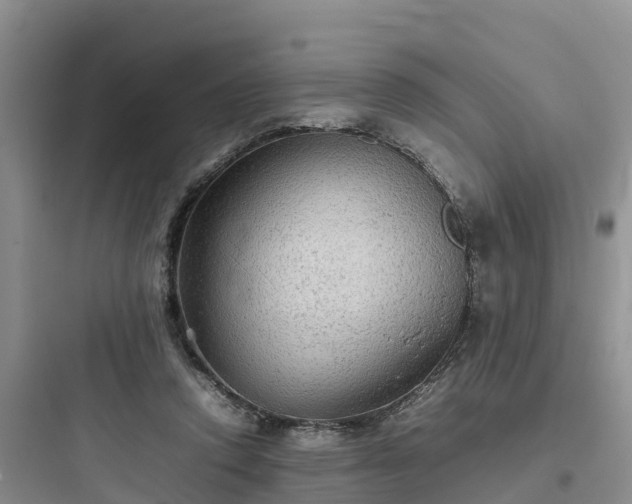 X0000097920354200803211533