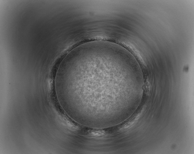 X0000097920355200803211533