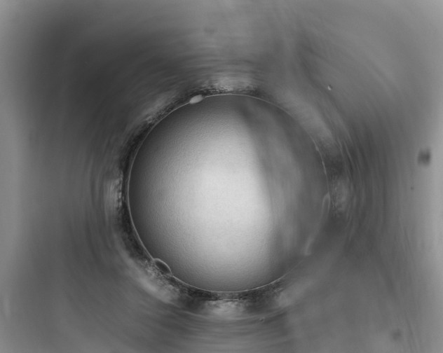X0000097920356200803211533