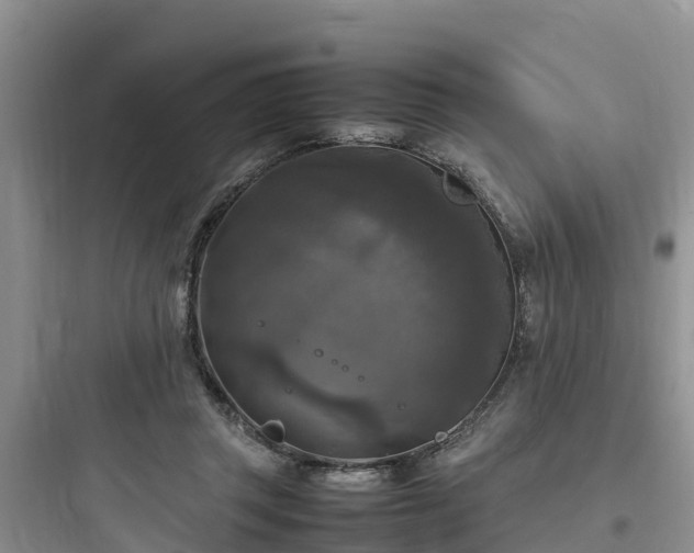 X0000097920357200803211533