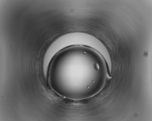 X0000097920360200803211533