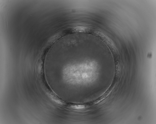 X0000097920361200803211533