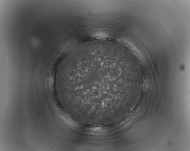 X0000097920365200803211533
