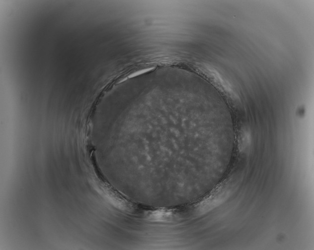X0000097920366200803211533