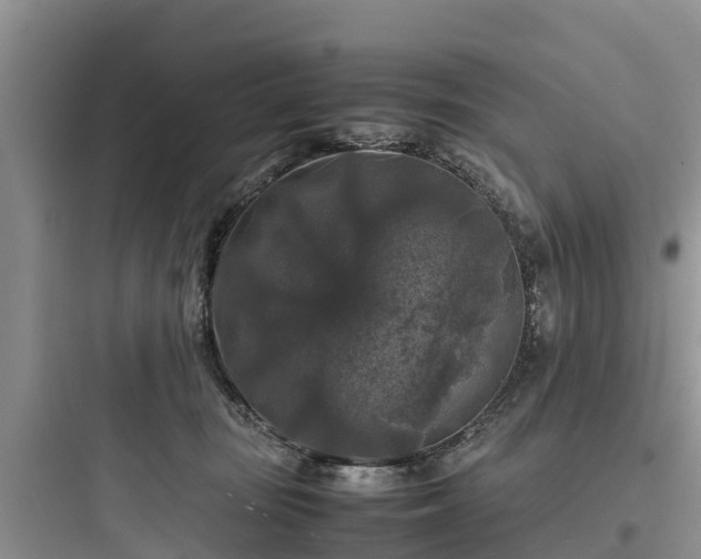X0000097920371200803211533