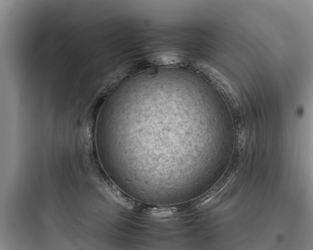 X0000097920373200803211533
