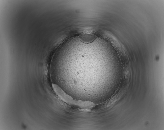 X0000097920374200803211533