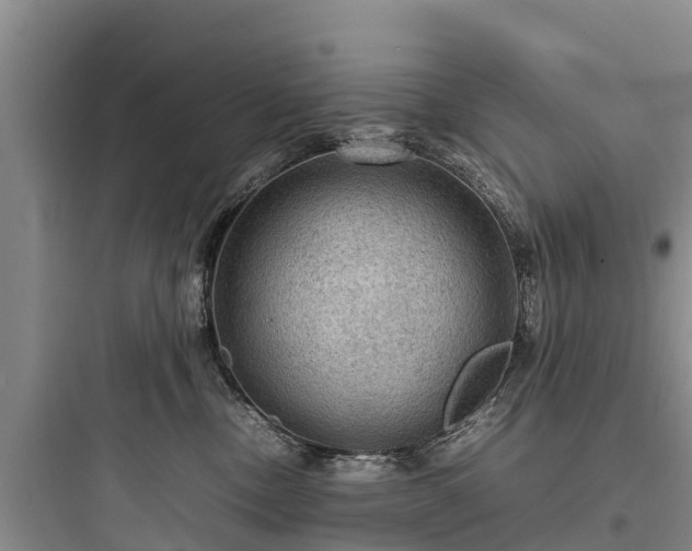 X0000097920378200803211533